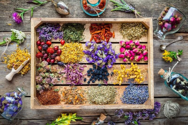 Essential Oils Garden Seed Kit Grow Peppermint Tea Tree Lavender Eucalyptus