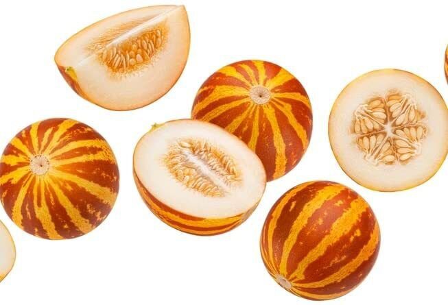 Pocket Melon Seeds Grow Pocket Size Edible Melons Made in USA