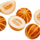 Pocket Melon Seeds Grow Pocket Size Edible Melons Made in USA