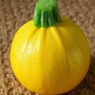 One Ball Squash Seeds (10 Seeds) Exotic Pool Ball Sized Edible Sq