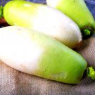 Korean Radish Seeds 100+ Seeds Rare Garden Vegetable Seeds De