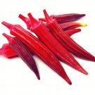 Red Burgundy Okra Seeds 100 Heirloom Seeds Per Packet Non GMO Seeds Botanical