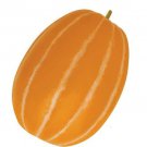 10 Korean Melon Seeds Rare Orange Skinned Melon Dae Jang Geum
