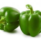 Large Green Pepper Seeds to Plant 100+ Seeds Versatile Pepper for Eating and