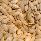 Jester Delicata Squash Seeds (20 Seeds) Cucurbita Pepo