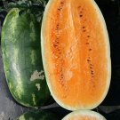 10 Rare Tendersweet Orange Watermelon Seeds Delicious Melons Eas