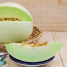 30 Green Honeydew Seeds Delicious Melons Easy to Grow Made in