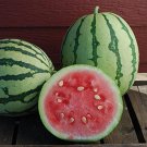 10 Queen of Dixie Watermelon Seeds Vibrant Colored Skin and Delic