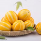 10 Korean Melon Seeds Rare Orange Skinned Melon Colorful and Delicious