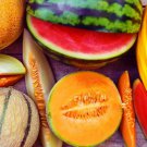 30 Seeds Garden Melon Mix Easy to Grow Melons Full of Flavor and Fun