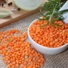 50 Red Lentils Plant Seeds Grow Your Own Food