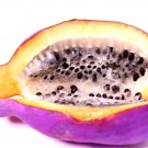 15 Exotic Chocolate Vine Seeds Akebia quinata Five Leaf Vine S