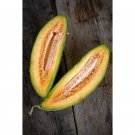 Banana Melon Seeds (20 Seeds) NonGMO Heirloom Fresh Garden Seeds