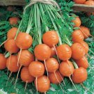 Round Parisian Carrot Seeds Heirloom & NonGMO Carrot Seeds 250+ Vegetable S