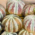 Very Rare Kajari Melon Heirloom Seeds Non GMO Long Shelf Life Good Producer cpic