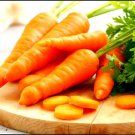 250 Tendersweet Carrot Seeds Heirloom and NonGMO Carrot SeedsVe