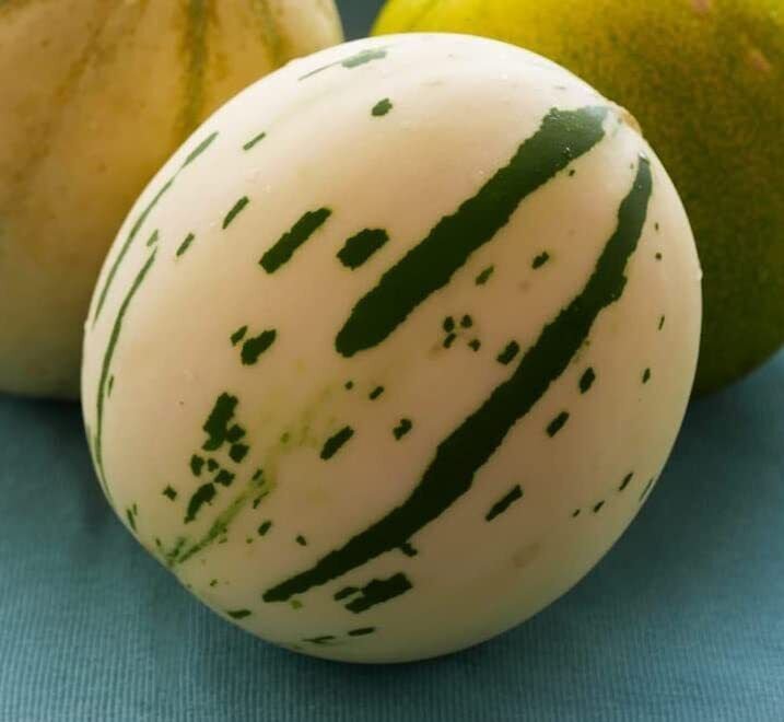 10 Snow Leopard Melon Seeds Very Rare Snowball Melon