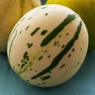 10 Snow Leopard Melon Seeds Very Rare Snowball Melon
