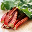 Victoria Red Rhubarb 50 Seeds Perennial Easy to Grow