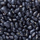 Black Bean Seeds 30 Seeds Easy to Grow Very Healthy