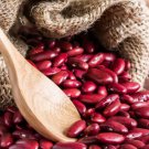 Red Kidney Bean Seeds 30 Seeds Easy to Grow Very Healthy