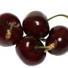 10 Bada Bing Cherry Seeds for Garden Planting