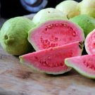 50 Taiwan Pink Guava Seeds for Garden Planting