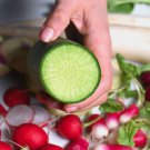 500 Green Meat Radish Seeds for Garden Planting