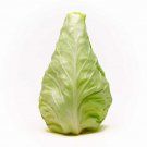 500 Conehead Cabbage Seeds for Garden Planting
