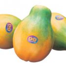 25 Kapoho Papaya Seeds for Garden Planting