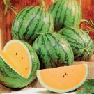 50 New Queen Watermelon Seeds for Garden Planting
