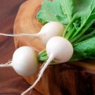 500 White Hailstone Radish Seeds for Garden Planting