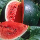 50 Small Shining Light Watermelon Seeds for Planting