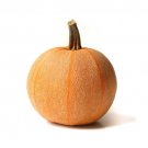 25 Winter Luxury Pumpkin Seeds for Garden Planting