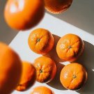 5 Mandarin Orange Seeds for Garden Planting