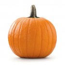 25 Jack O' Lantern Pumpkin Seeds for Garden Planting