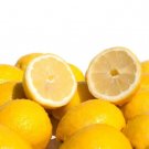 5 Fino Citron Lemon Seeds for Garden Planting