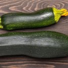 25 Spineless Beauty Zucchini Squash Seeds for Planting