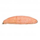 25 Banana Squash Seeds for Garden Planting