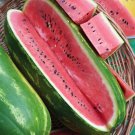 50 Jubilee Watermelon Seeds for Garden Planting