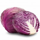 500 Red (Purple) Cabbage Seeds for Garden Planting