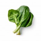 500 Choy sum Cabbage Seeds for Garden Planting