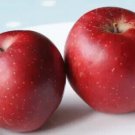 25 Baya Marisa Apple Seeds for Garden Planting