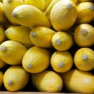 25 Yellow Squash Seeds for Garden Planting