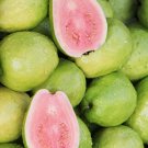 50 Sweet Pink Tikal Guava Seeds for Garden Planting