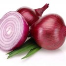 500 Bermuda Onion Seeds for Garden Planting