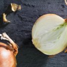 500 Yellow (Brown) Onion Seeds for Garden Planting