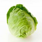 500 Cannonball Cabbage Seeds for Garden Planting