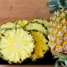 15 Valera Pineapple Seeds for Garden Planting