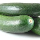 25 Zucchini Squash Seeds for Garden Planting
